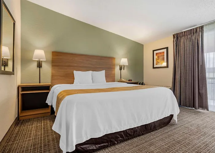 Kamer met een King Size Bed